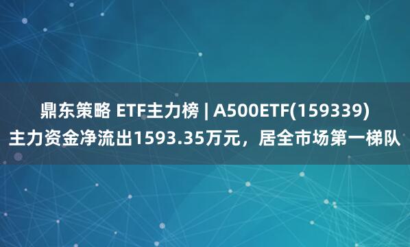 鼎东策略 ETF主力榜 | A500ETF(159339)主力资金净流出1593.35万元，居全市场第一梯队