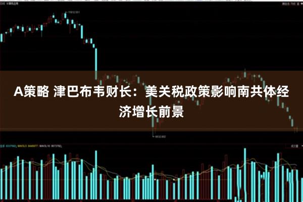A策略 津巴布韦财长：美关税政策影响南共体经济增长前景