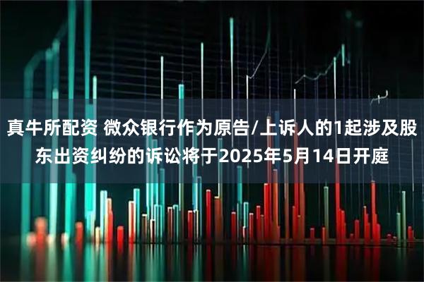 真牛所配资 微众银行作为原告/上诉人的1起涉及股东出资纠纷的诉讼将于2025年5月14日开庭