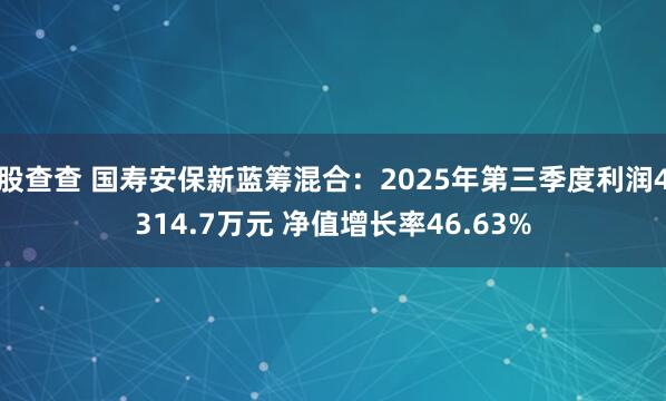 股查查 国寿安保新蓝筹混合：2025年第三季度利润4314.7万元 净值增长率46.63%