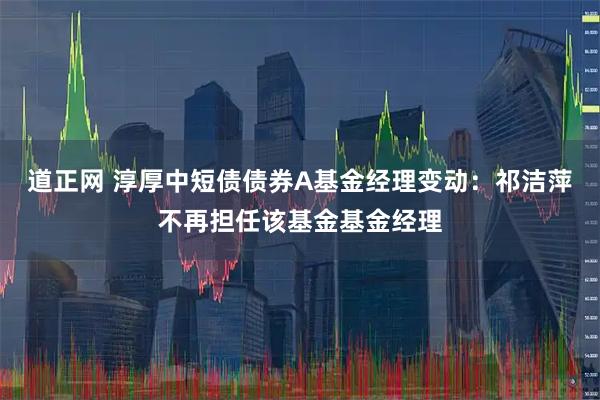 道正网 淳厚中短债债券A基金经理变动：祁洁萍不再担任该基金基金经理