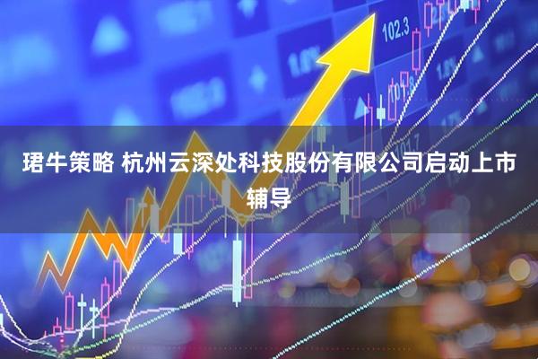 珺牛策略 杭州云深处科技股份有限公司启动上市辅导
