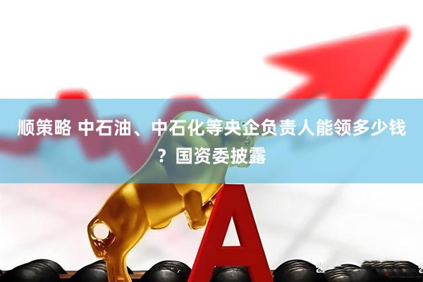顺策略 中石油、中石化等央企负责人能领多少钱？国资委披露