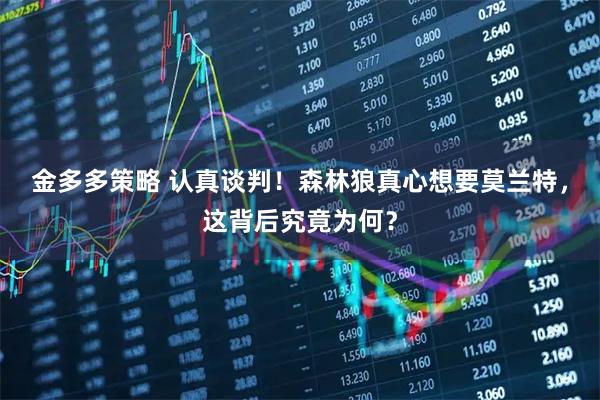 金多多策略 认真谈判！森林狼真心想要莫兰特，这背后究竟为何？