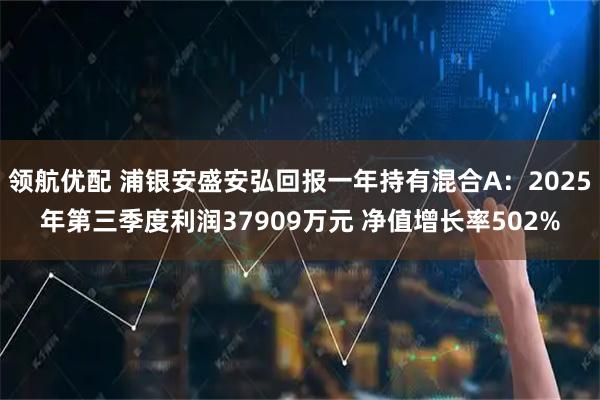 领航优配 浦银安盛安弘回报一年持有混合A：2025年第三季度利润37909万元 净值增长率502%